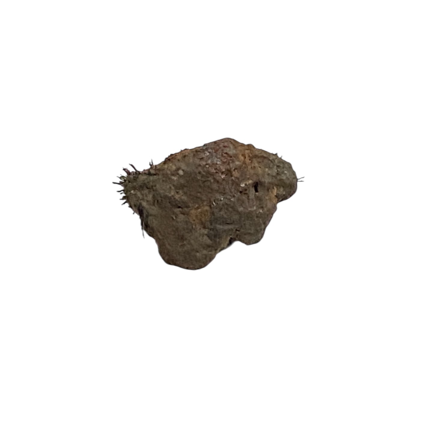 Loadstone 1/4oz