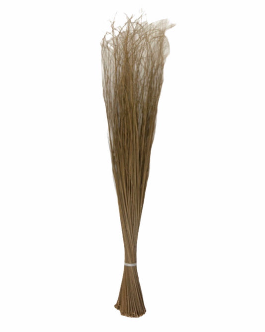 Kokey Brooms